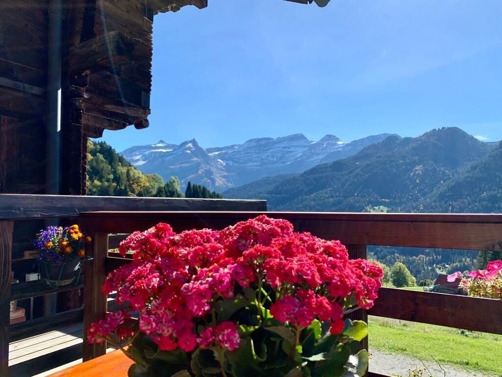 Blick von der Terrasse