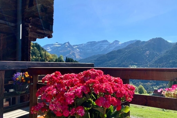 Blick von der Terrasse