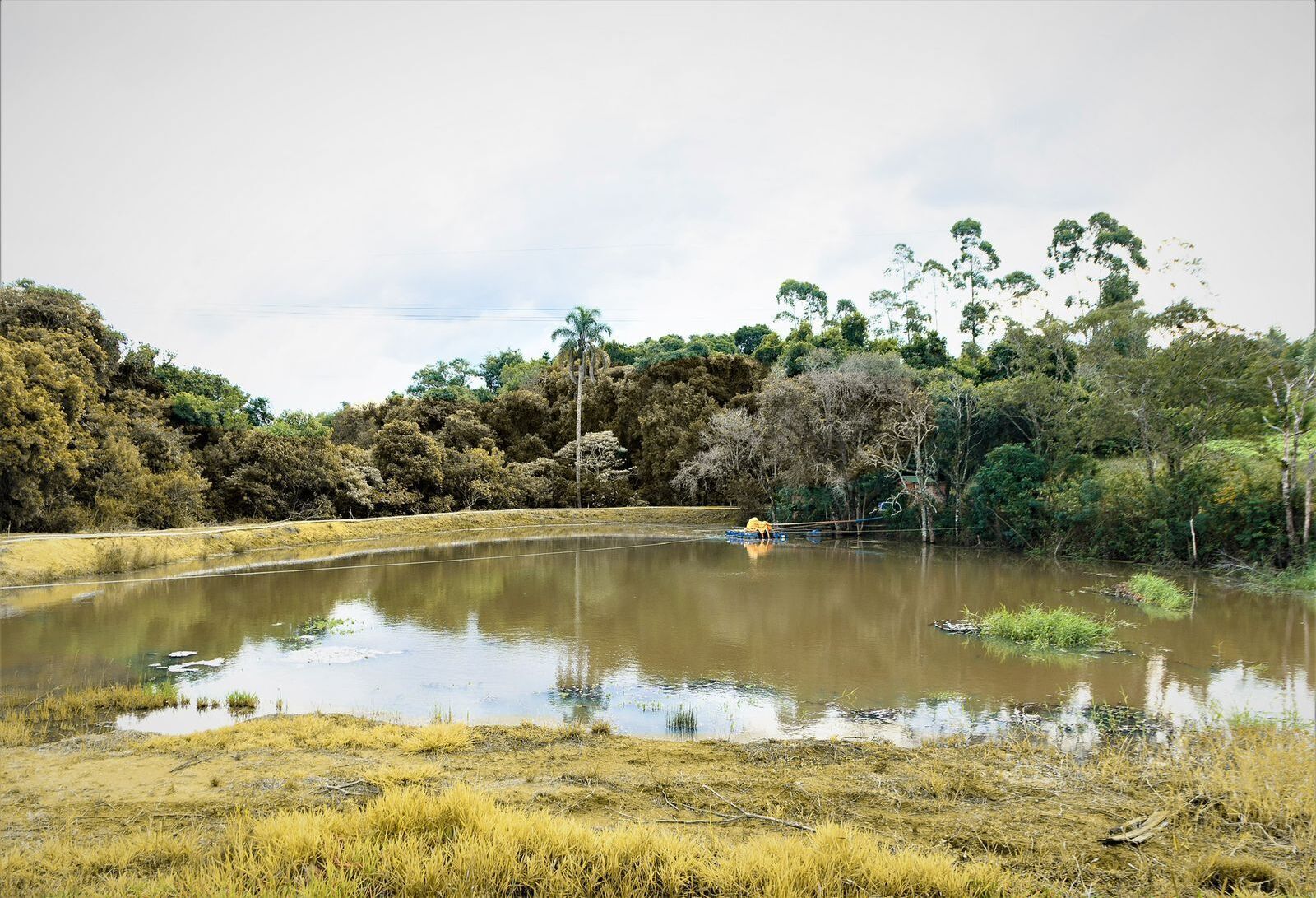 Un lac paisible, entouré d’une forêt dense et de prairies.
