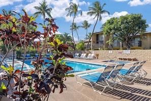 Piscine extérieure, piscine chauffée
