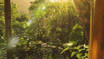 Una vista a través de una ventana con la luz del sol filtrándose entre las hojas de los árboles.