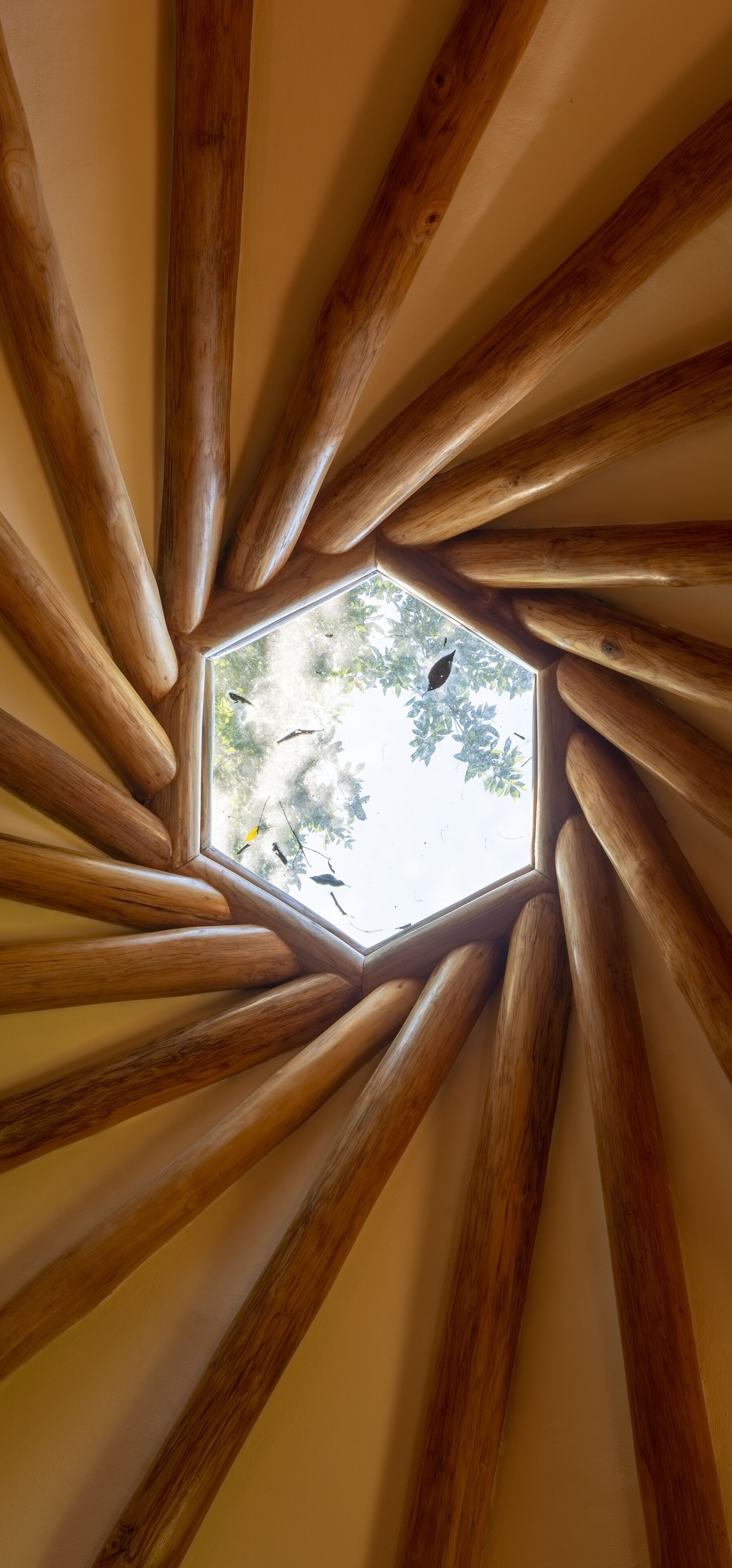 Canopy Rooms | Terrasse/Patio