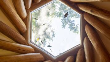 Canopy Rooms | Terrasse/Patio