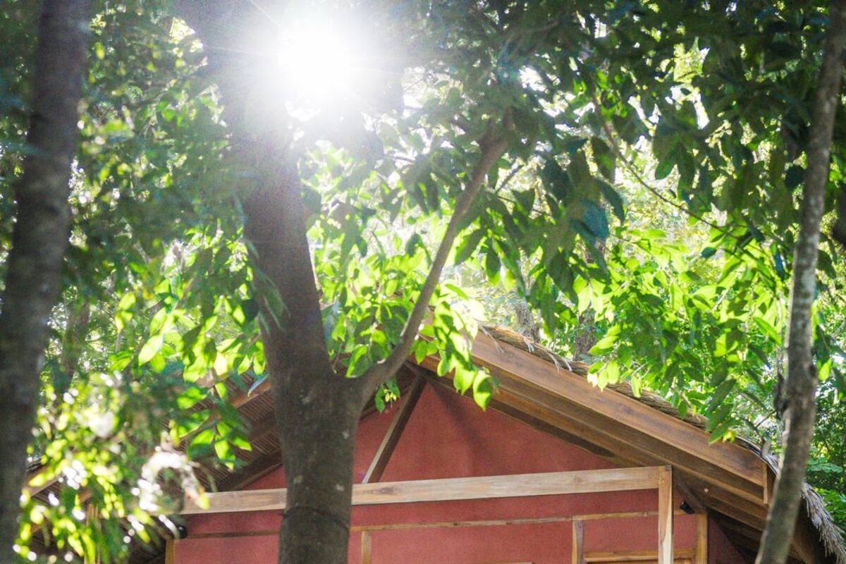 A two-story wooden house with a balcony, surrounded by lush greenery.