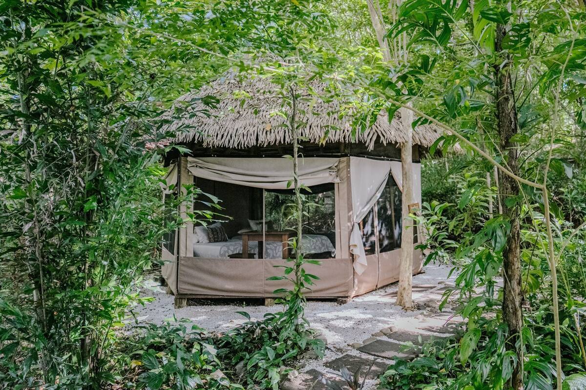 A thatched-roof tent with a bed and a table, surrounded by dense greenery.