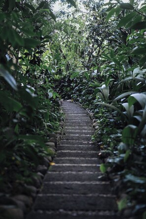 Exterior - Tierra Encantada (Nosara)