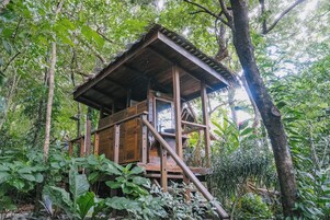 A wooden cabin with a thatched roof, surrounded by dense forest.