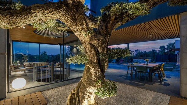 Un espacio interior moderno con un gran árbol como centro, paredes de vidrio y una zona de comedor con asientos al aire libre.