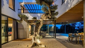 Una casa moderna con un grande albero al centro, un patio con mobili da esterno e una porta vetrata che dà sull'interno.