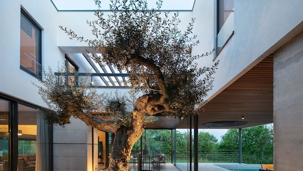 Una casa moderna con un grande albero al centro, una piscina e una zona patio.