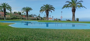A swimming pool with a curved edge, surrounded by well-maintained grass and palm trees.