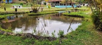 Sítio JN Para Finais de Semana, Feriados ou Day-use