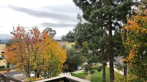 Un balcón con vista a árboles otoñales y una zona residencial.