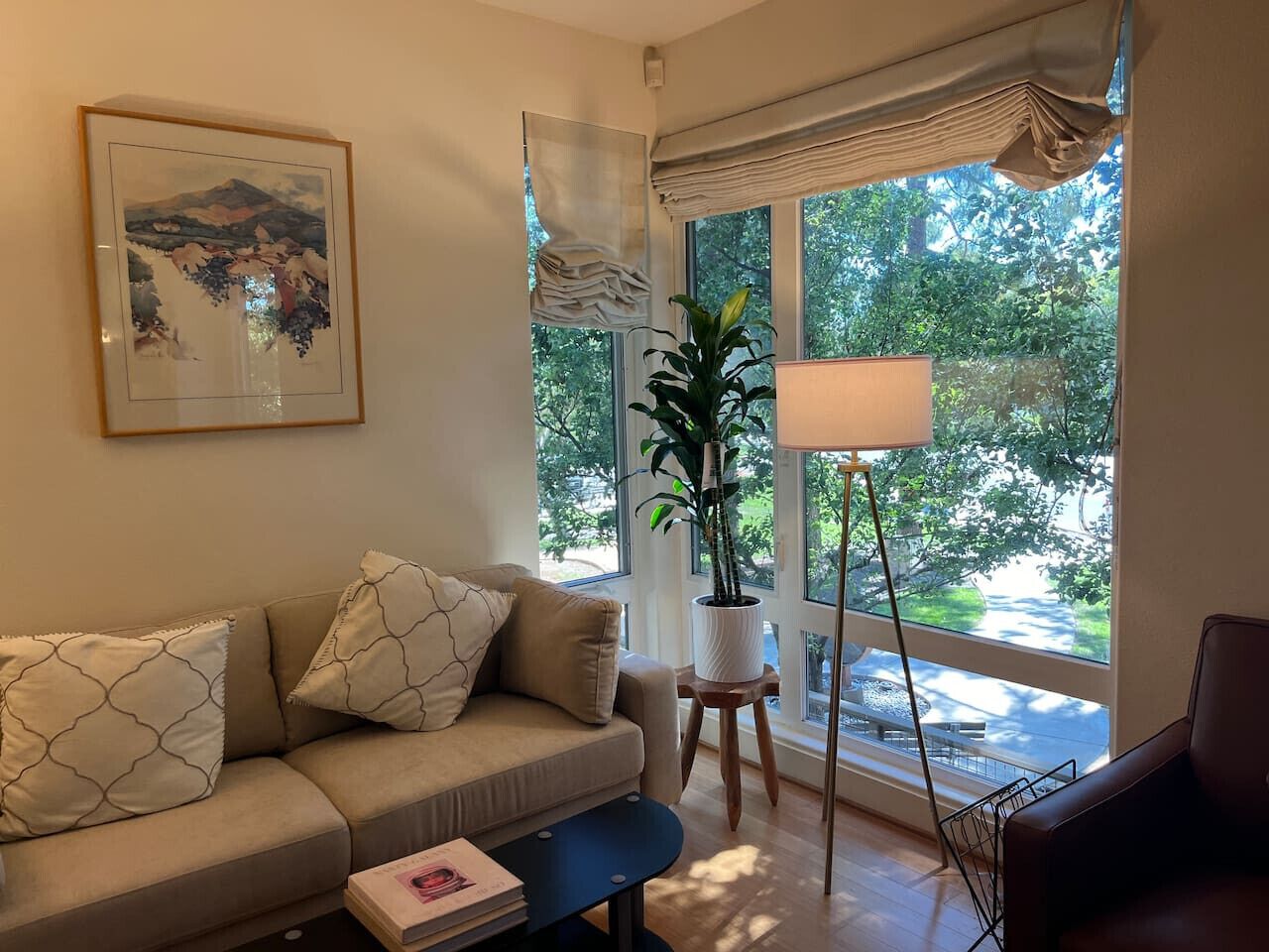 TV connectée, livres