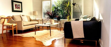 TV connectée, cheminée, livres