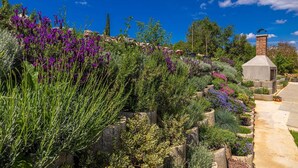 Un jardin avec différentes espèces de plantes et une structure en pierre.