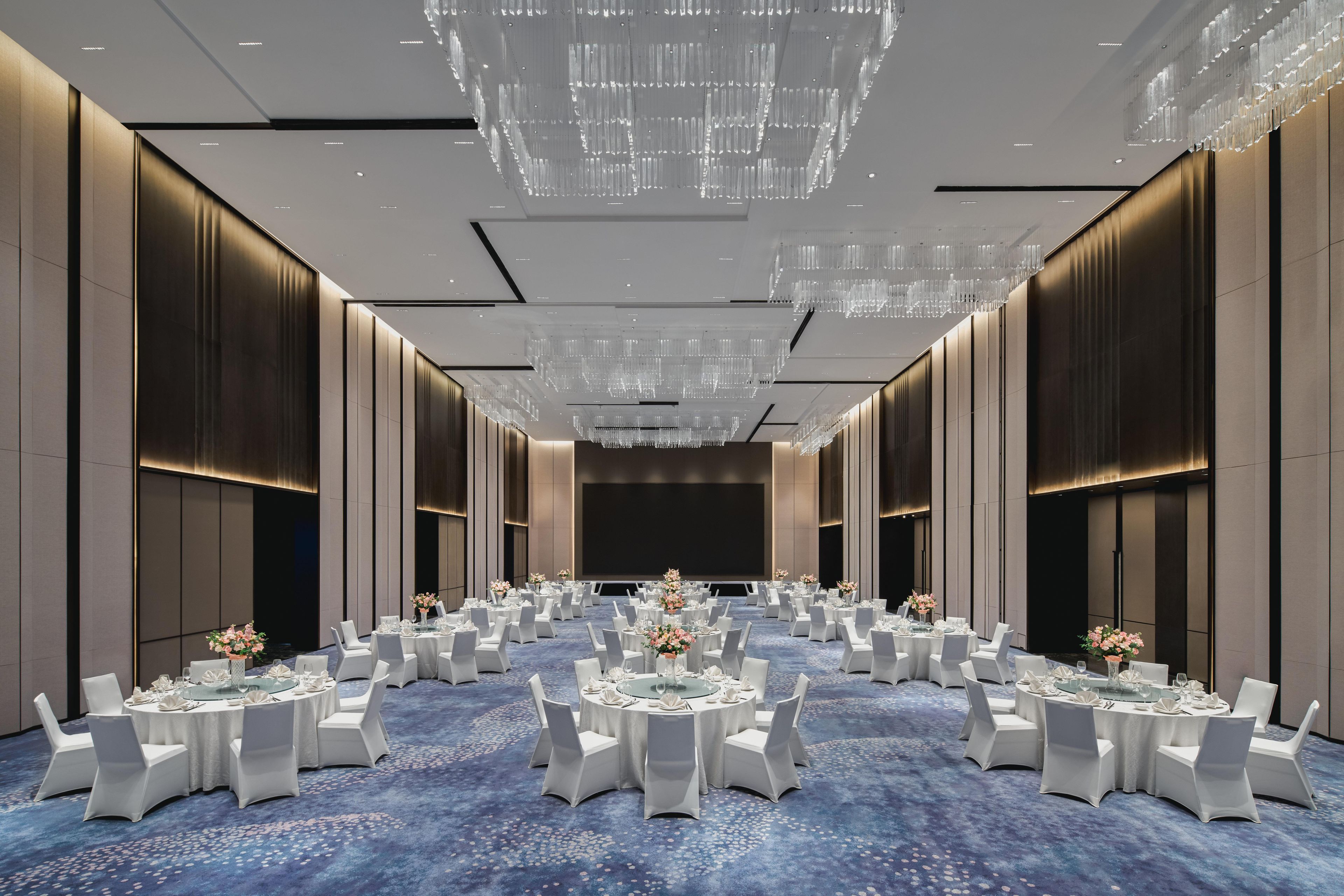 A spacious banquet hall with round tables, white chairs, and a blue carpet.