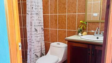 Serviettes fournies, savon, papier toilette