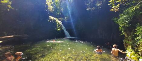 Une piscine naturelle à l’eau claire, entourée de zones boisées et d’une cascade.