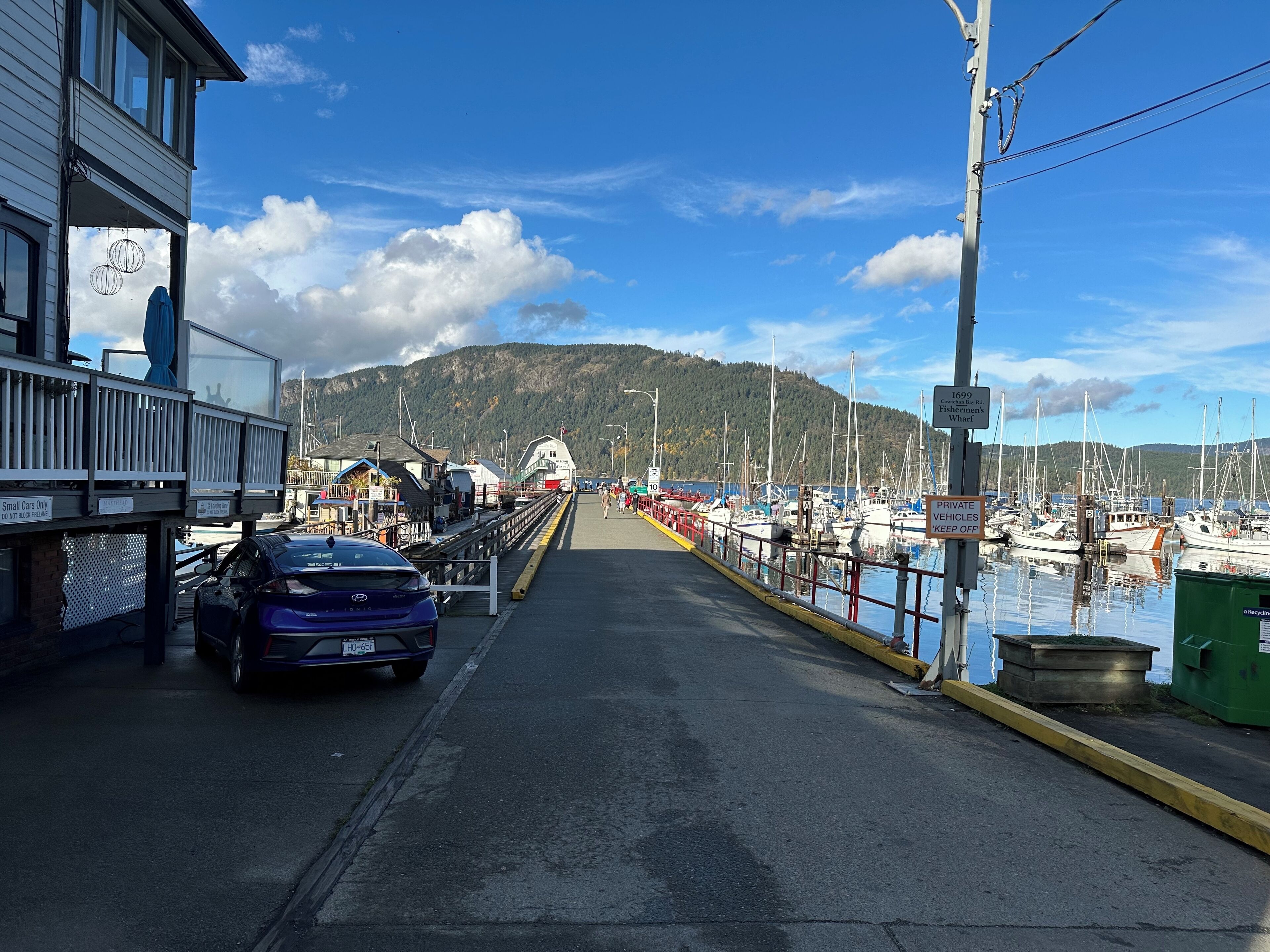 Ein Yachthafen mit vertäuten Booten, eine Straße, die zu einem Gebäude führt, und ein Berg im Hintergrund.