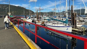 A marina with boats docked, a red and yellow railing, and a hilly landscape in the background. - Charming Mill Bay 2 Br Suite (Mill Bay)