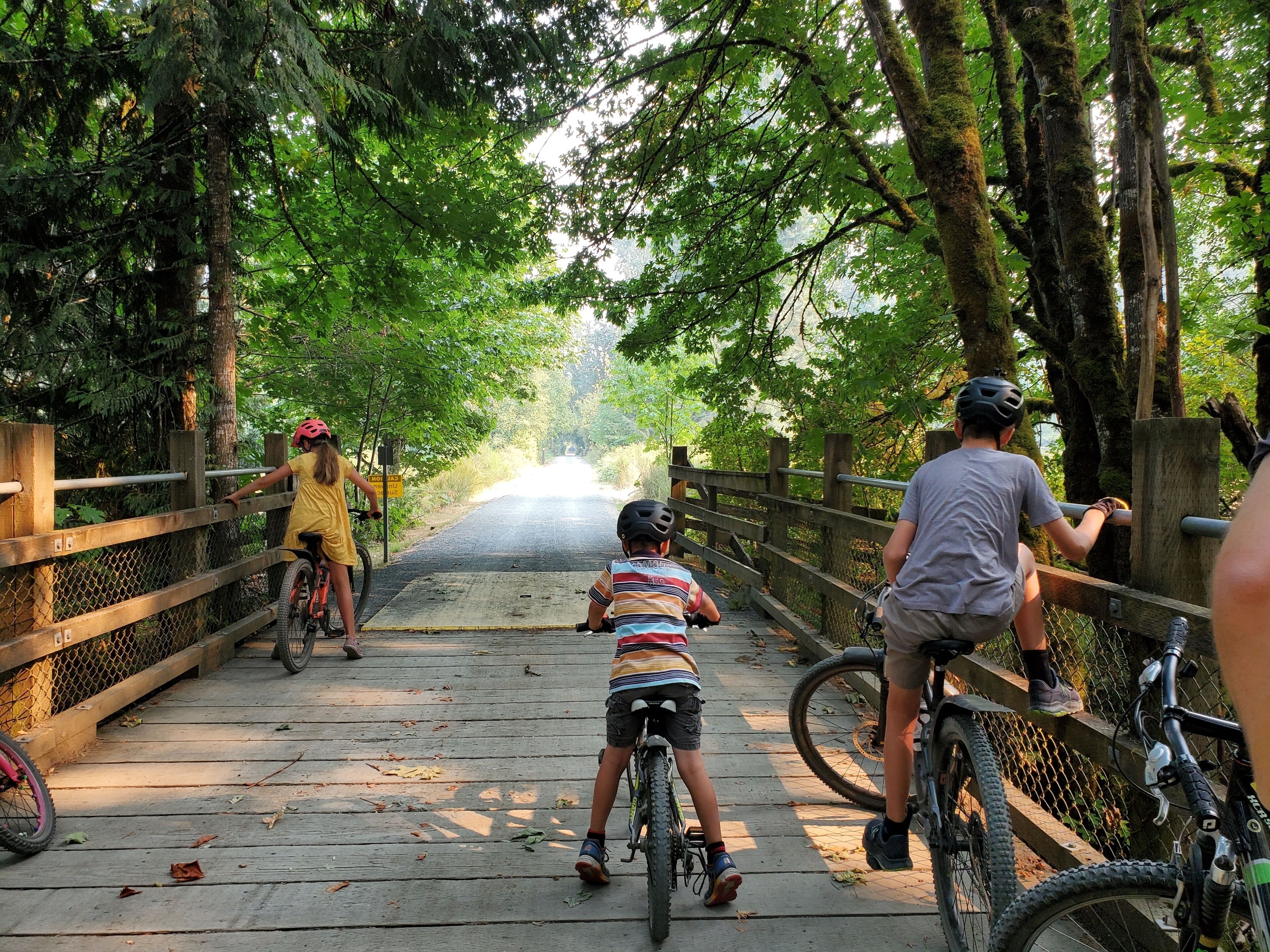 A wooden bridge with railings, surrounded by trees and greenery.