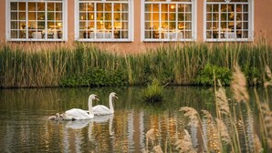 Ein ruhiger Teich mit Schwänen und hohem Gras vor einem Gebäude mit Rundbogenfenstern und einer warmen Fassade.