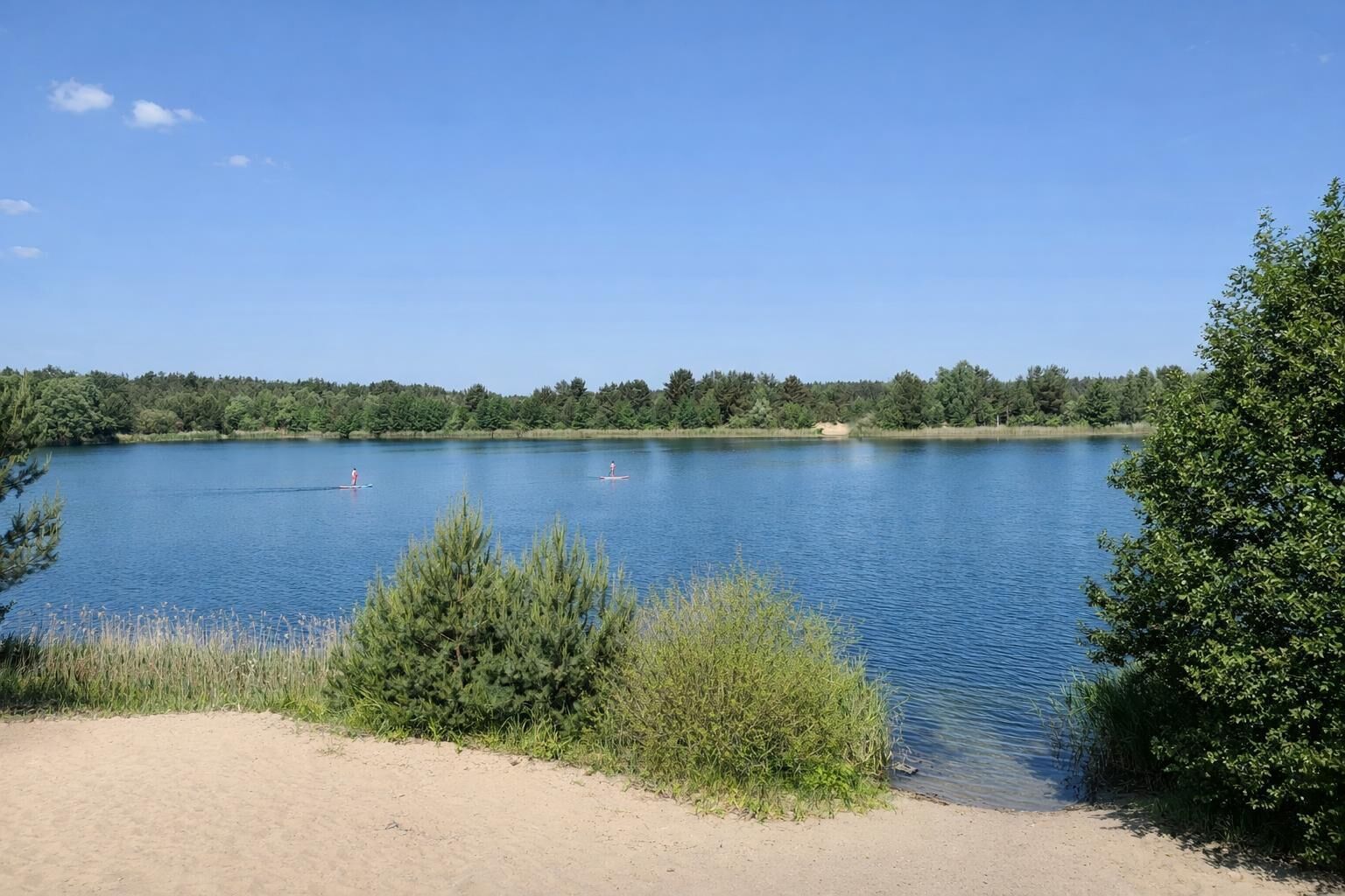 A calm lake with clear blue water, surrounded by dense greenery and trees.