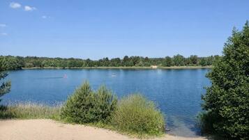 A calm lake with clear blue water, surrounded by dense greenery and trees.