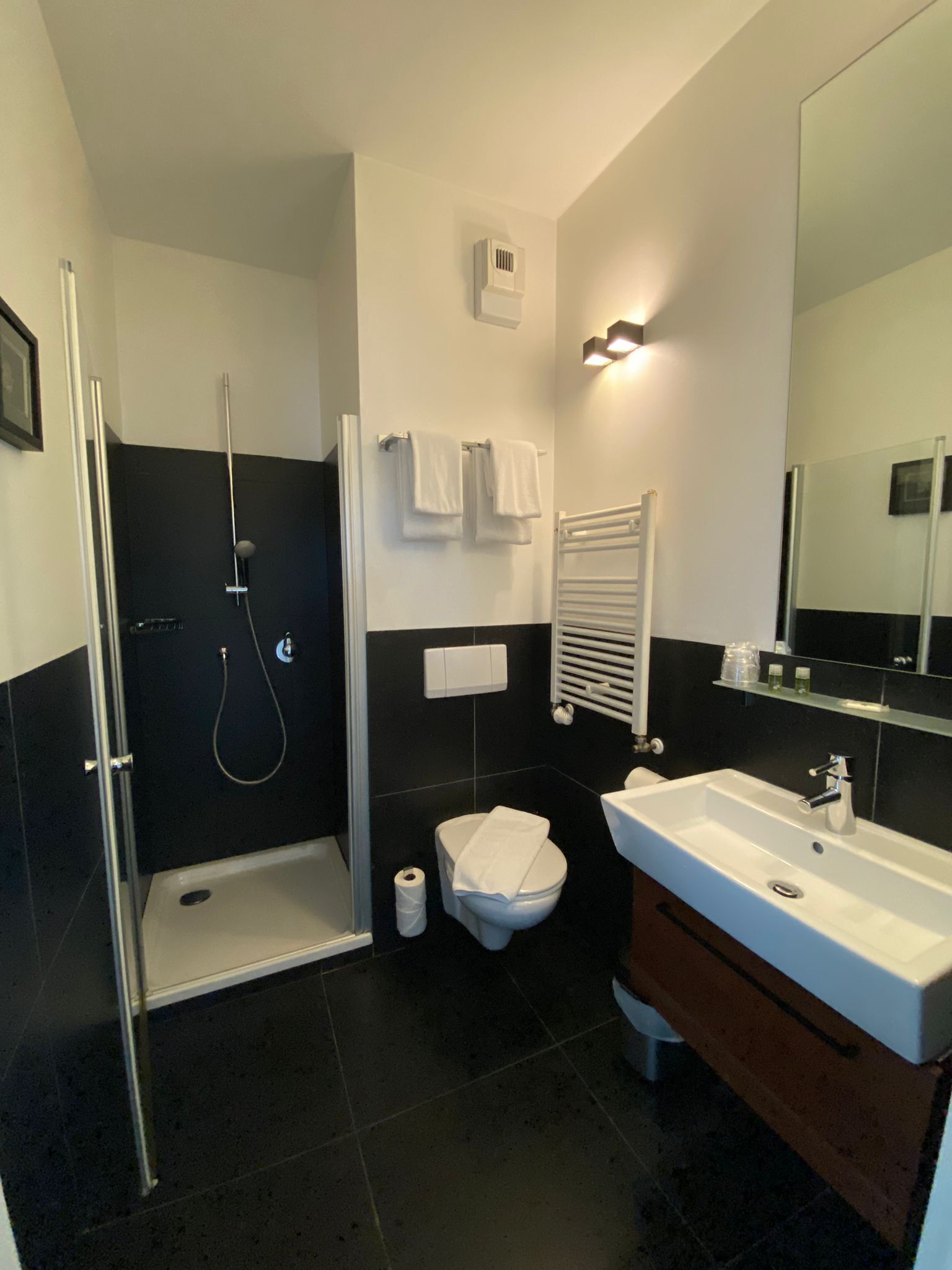 A modern bathroom with a glass-enclosed shower, a white toilet, a sink with a mirror, and a towel rack.