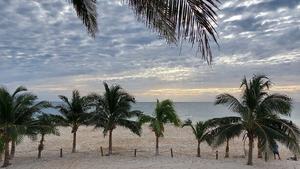 A beach with palm trees and a view of the ocean. - Casa Playasol (Puerto Morelos)
