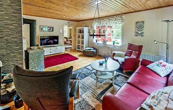 Televisión y chimenea