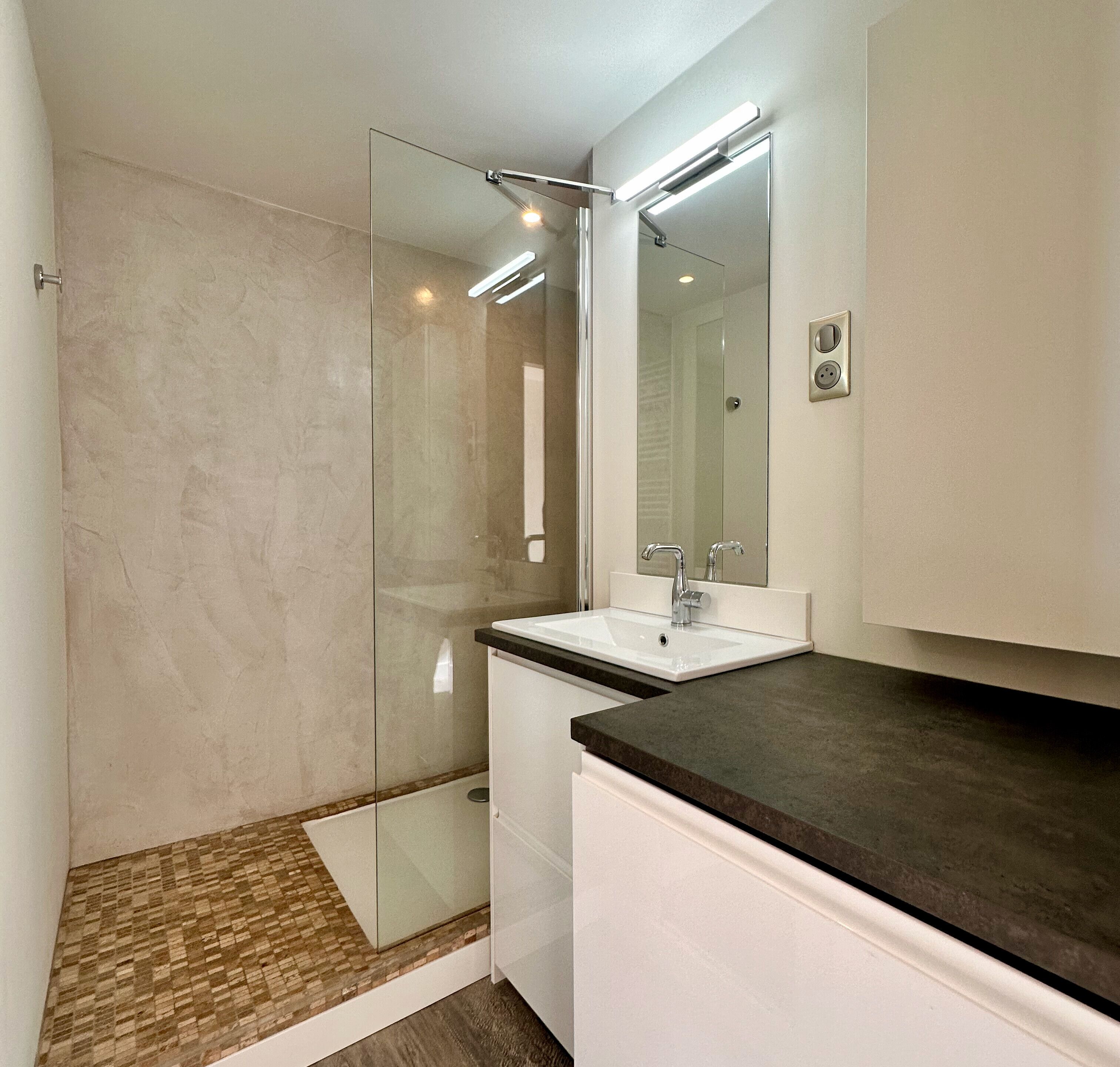 Shower, hair dryer, towels