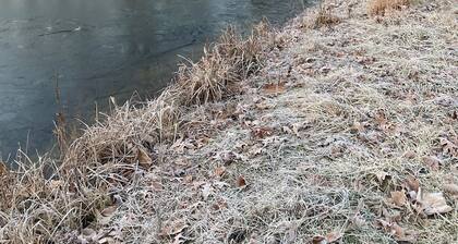 Walk Me Out in the “Morning Dew”. Secluded A-Frame Cabin on Pond with 3 decks