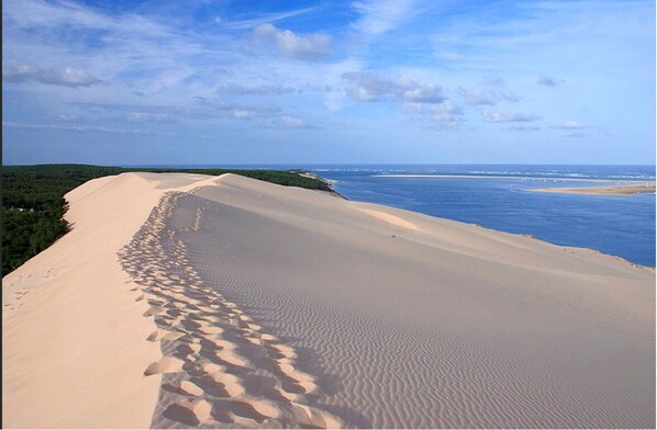 A sandy beach with footprints leading to the water, a clear sky, and distant greenery.