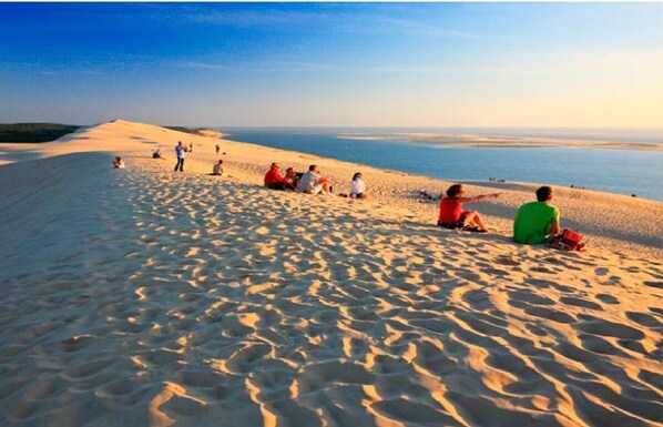 Strand