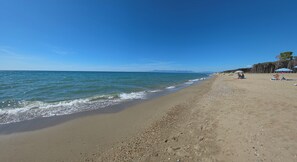 Ranta