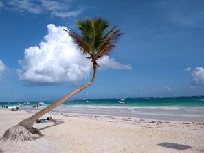 A beach with a palm tree, clear skies, and boats in the water.