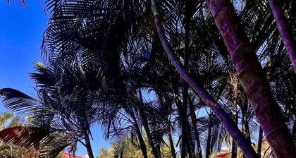 La Casita de Peter Ixtapa