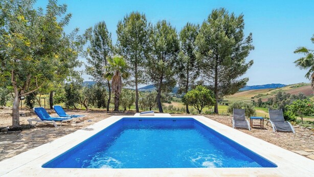 A rectangular swimming pool with blue tiles, surrounded by lounge chairs and trees.