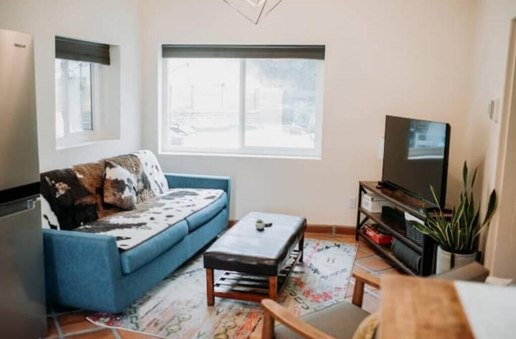 Smart-tv, een open haard, een dvd-speler en boeken