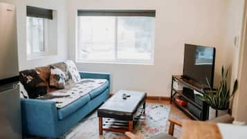 Smart-tv, een open haard, een dvd-speler en boeken