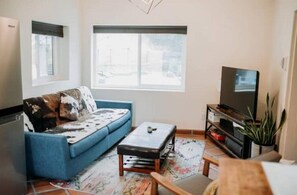 Smart TV, fireplace, DVD player, books