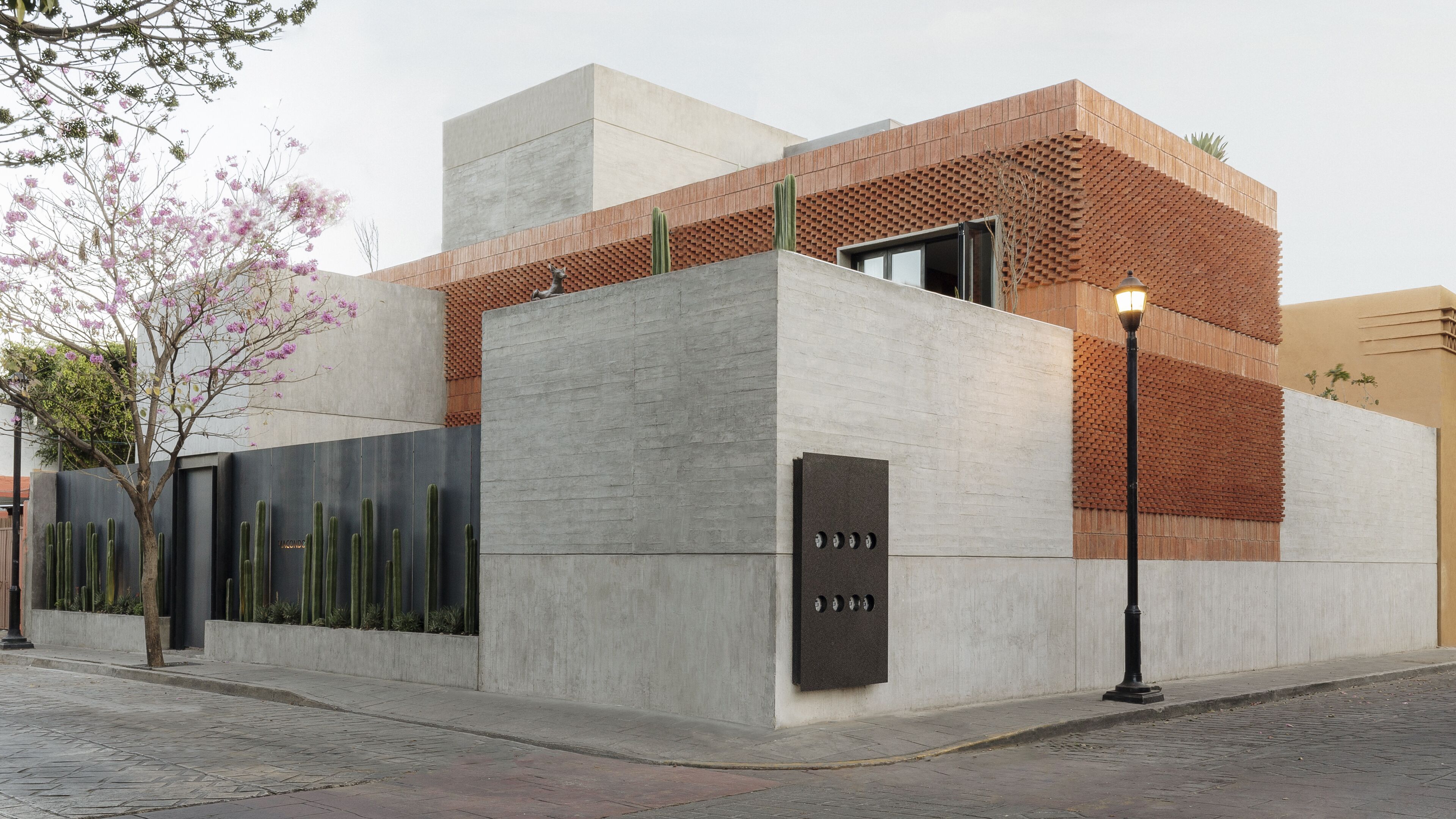 Foto - Macondo Arte Oaxaca