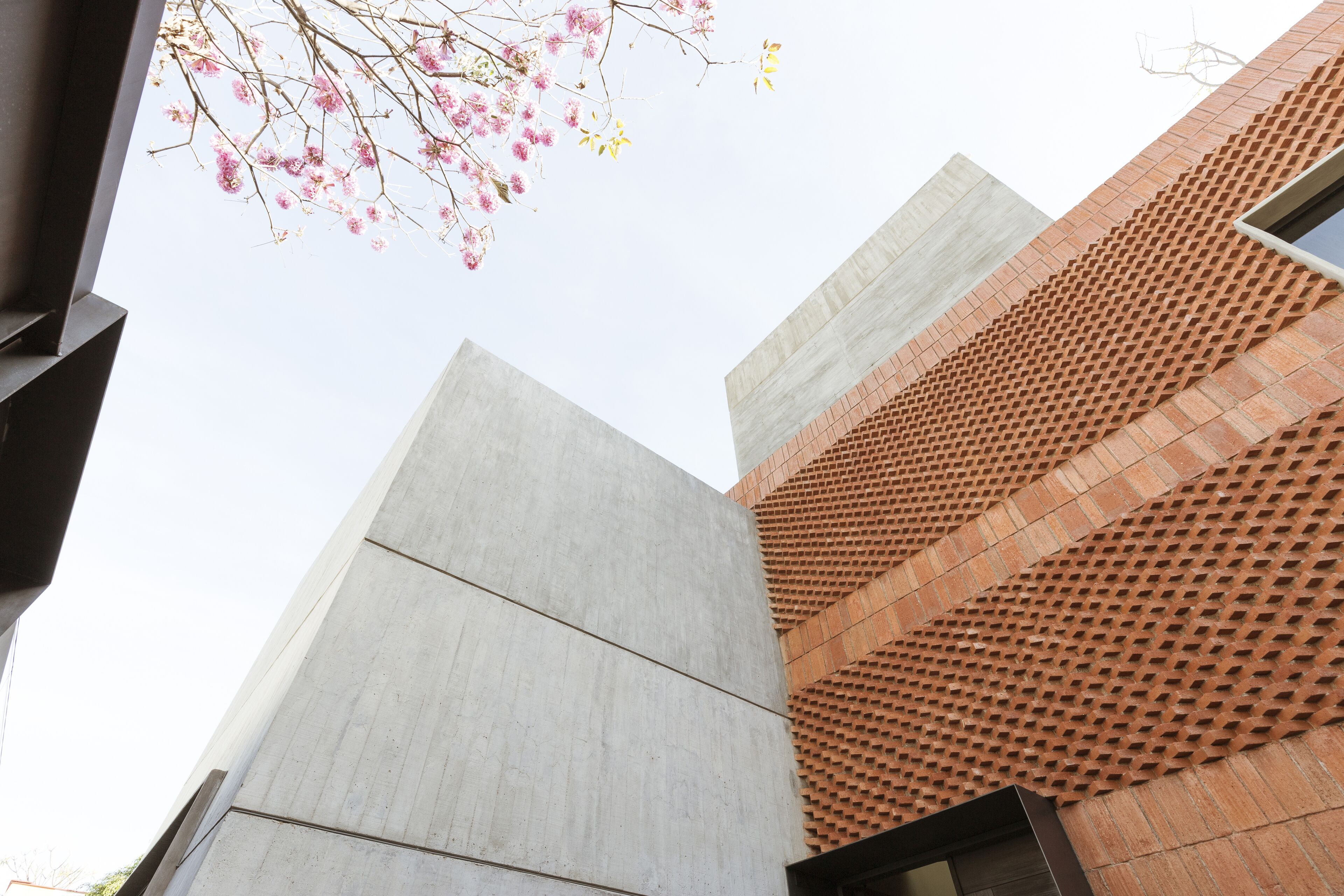 Foto - Macondo Arte Oaxaca