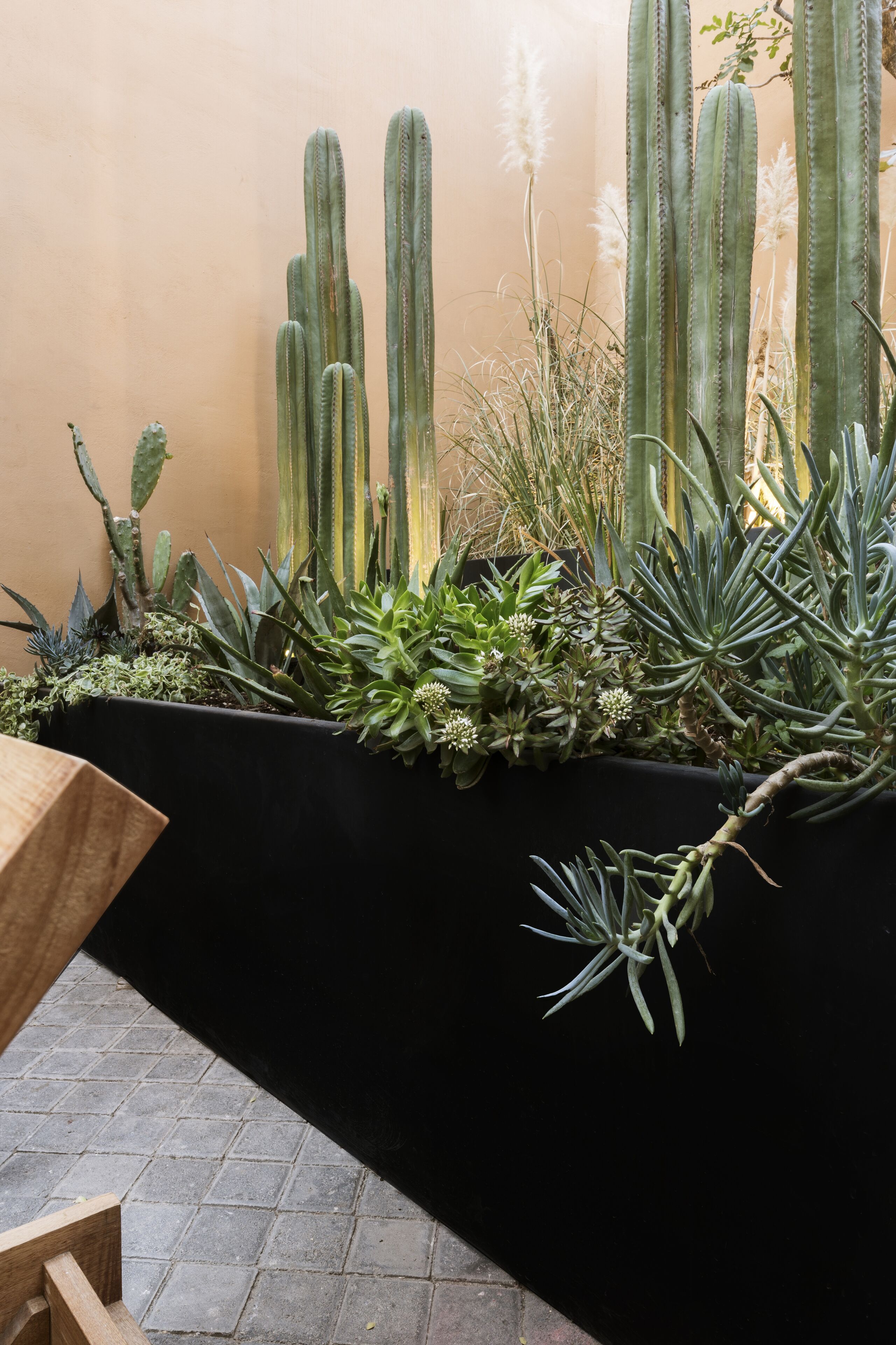 Foto - Macondo Arte Oaxaca