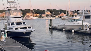 A marina with several boats docked, wooden walkways, and houses in the background.