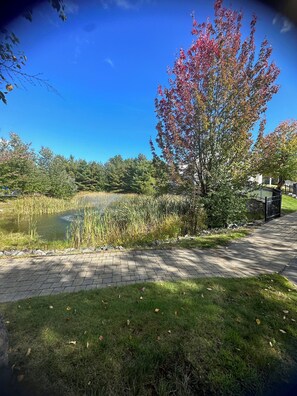 Property grounds - Summer Village Resort - 1 Mi to Moody Beach - WiFi, Gym, AC, Pools, Playgrounds (Wells)