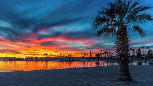 A sunset over a beach with palm trees and a calm sea. - Lake Havasu Oasis: 3BR, Pool, Hot Tub, Game Room & Boat Parking (Lake Havasu City)