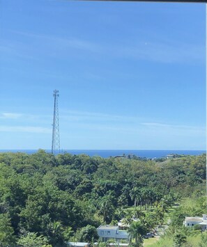 View from property - 2 Units • Hillside View • Fast WiFi • Quick Drive (Ensenada Rincón)